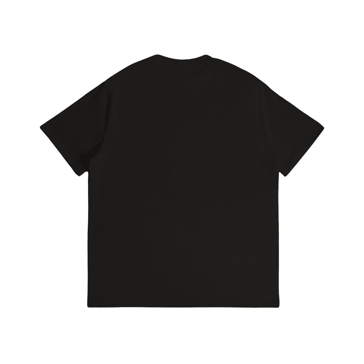 Unisex Cotton T-Shirt Florida