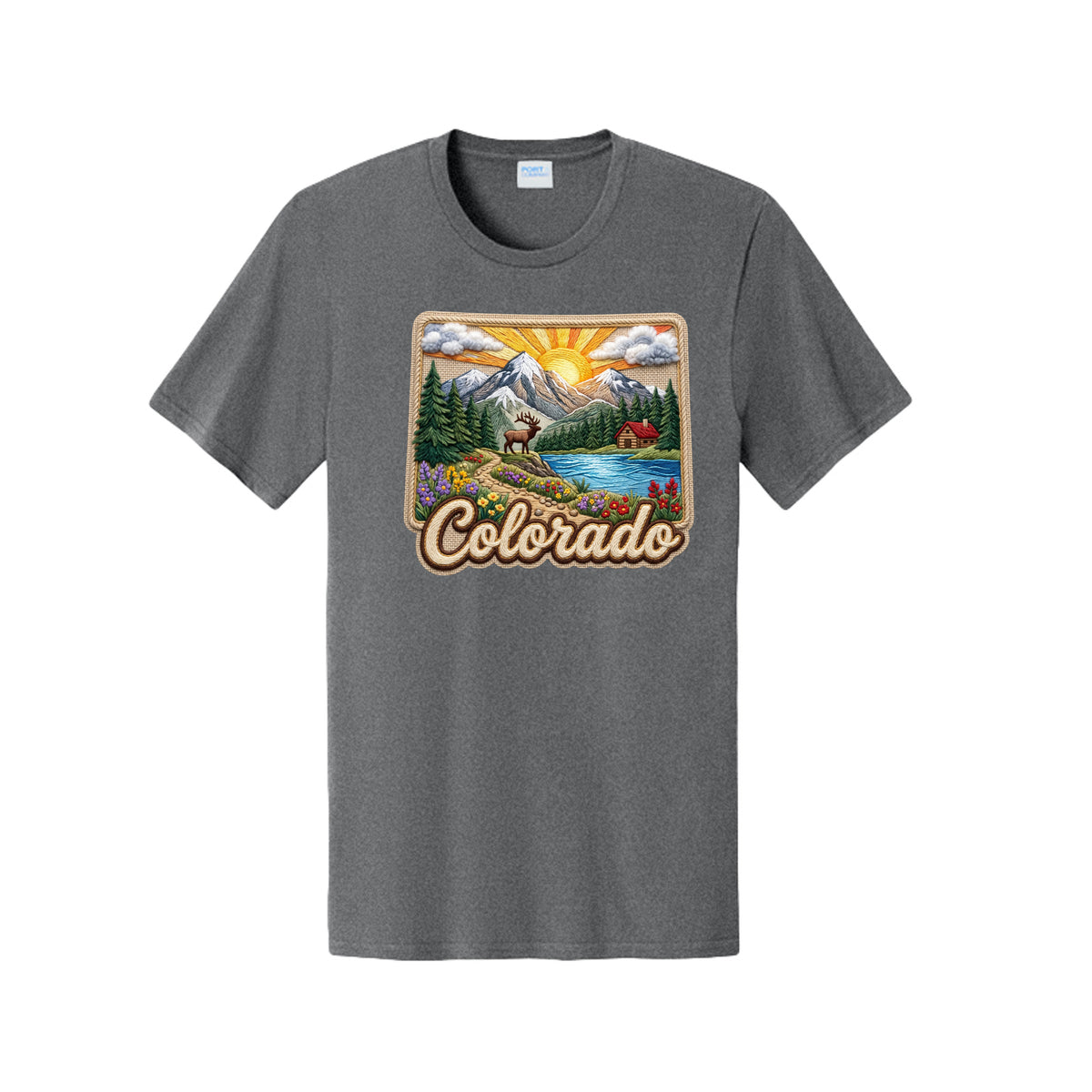 A dark heather gray short-sleeve t-shirt with a colorful graphic print on the chest depicting a scenic Colorado landscape with mountains, a lake, and the word 'Colorado' in script, shown against a plain white background.